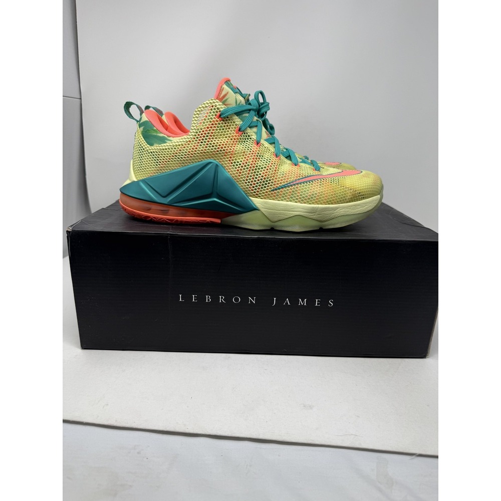 Nike LeBron XII Low PRM Shoes Mens Size 11.5 Lebronald Basketball 776652-383
